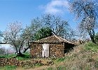 Mandelblüte auf La Palma : Bauernhaus